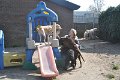 Afb_20170409w (18)